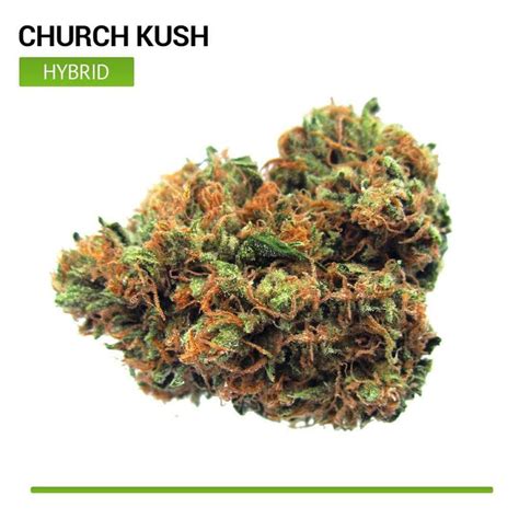 Church Kush Strain Cannabis Straight To Your Door