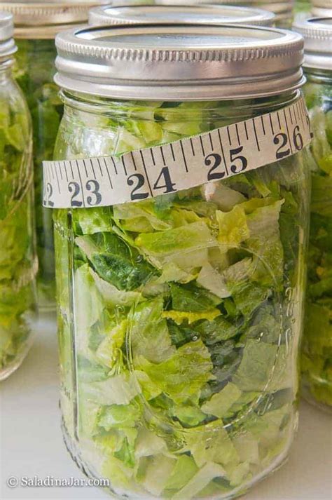 Easy Homemade Tips For Storing Shredded Lettuce