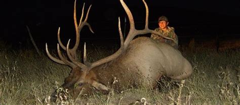 Idaho Archery Elk Hunting