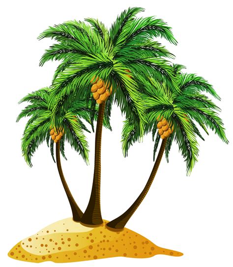 Real Coconut Tree With Coconut Png Png Clipart Coconut Tree Clip Art