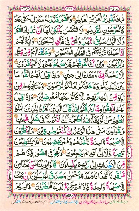 Surah Yasin E Online Quran