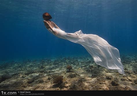 Real Mermaid Underwater Photography Underwater Photos Water Photography