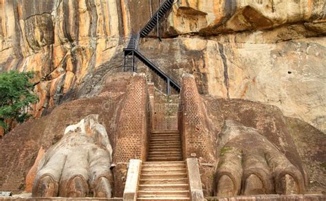 sigiriya lion paws stock image image of ceylon sigiriya 46301441