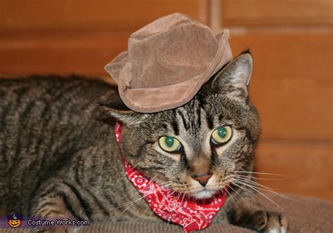 Cowboy Costume For Cats Mind Blowing Diy Costumes
