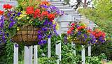 Choose different plants all in the same colour, such as pink, yellow or red, for a cohesive look. Choosing the Best Flowers for Hanging Baskets | Gilmour