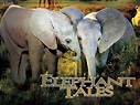 Elephant Tales (2006) - Rotten Tomatoes
