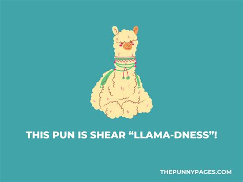 100 Funny Alpaca Jokes And Puns