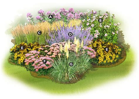 13 colorful perennials for big impact. Flower Bed Drawing at GetDrawings | Free download