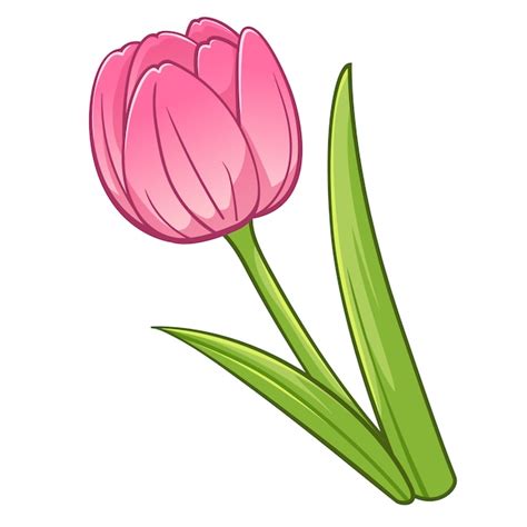 Premium Vector Tulip Cartoon Style