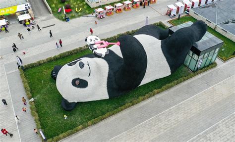 Estátua De Panda Tirando Selfie Encanta Público No Sudoeste Da China