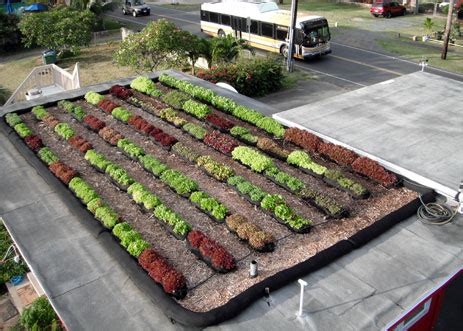 This link is to an external site that may or may not meet accessibility guidelines. Rooftop Gardening - Urban Agriculture in Honolulu