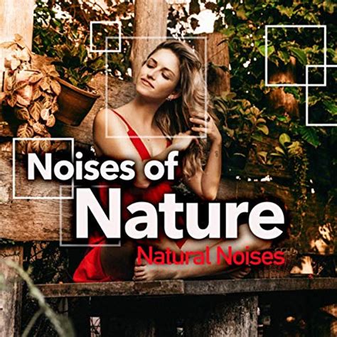 Noises Of Nature By Natural Noises On Amazon Music
