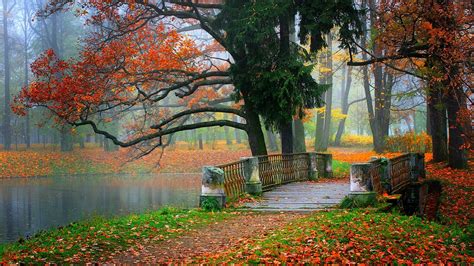 Paisaje Del Parque Río Agua Bosque árboles Hojas Colorido Otoño