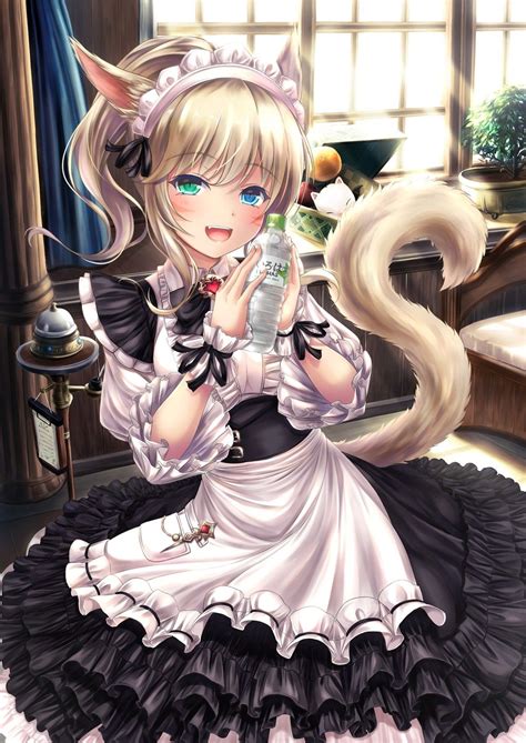Welcome Master Anime Anime Maid Cat Girl