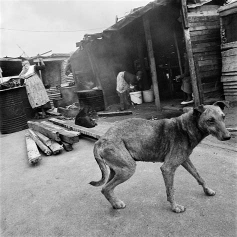 Township Photographs Depicting Life After South African