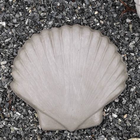 Scallop Shell Stepping Stone Etsy
