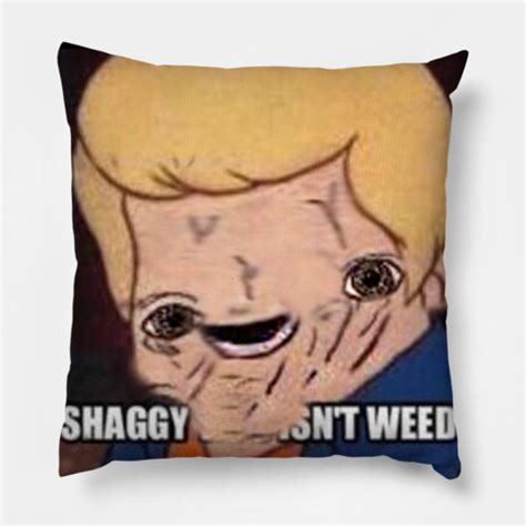 Shaggy This Isnt Weew Dank Memes Pillow Teepublic