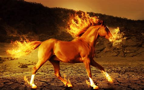 Horse Fire 3d Art Psychedelic G Wallpaper 1920x1200