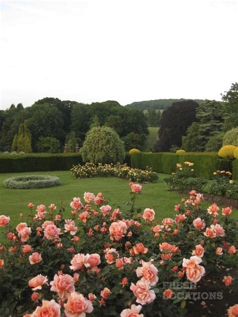 17 Best Images About Gorgeous English Rose Gardens On Pinterest