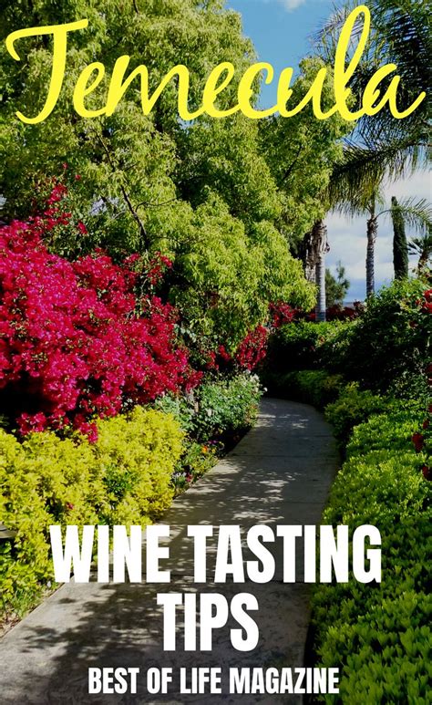 The Best Temecula Wine Tasting Tips Take You Beyond Just The Wine They