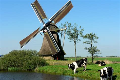 Nederland stelt nu ook aanvullende reisbeperkingen in. Hotel Nederland | TUI