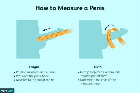 When Does Penis Growth Start And End