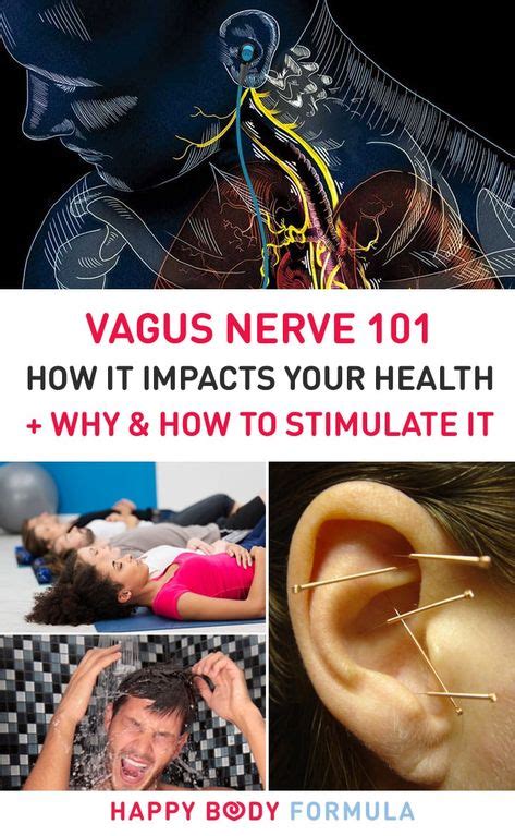 Vagus Nerve 101 Impact On Your Health Why And How To Stimulate It