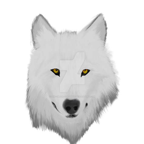 Transparent Wolf Head By The Green Cheshire On Deviantart