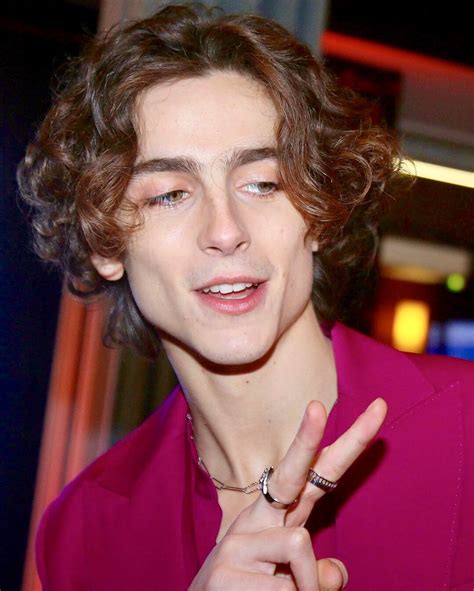 Timothée Chalamet — That Hair Tuck Is Always On Point Ig Credit To