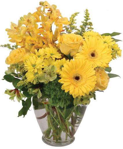 Divinely Golden Flower Arrangement Just Because Flower Shop Network