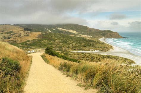 Sandfly Bay Dunedin Otago South Island New Zealand Pacific Stock Photo