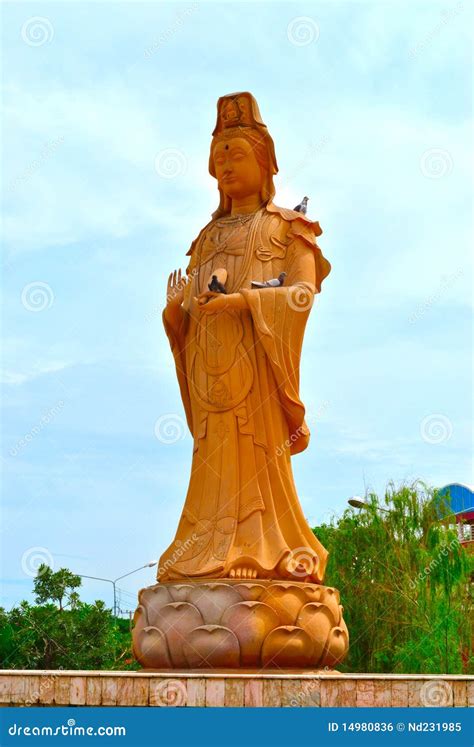 Kuan Yin Female Bodhisattva Statue Stock Photo Image Of East
