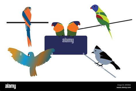 Birds Vector Collection Stock Vector Image And Art Alamy