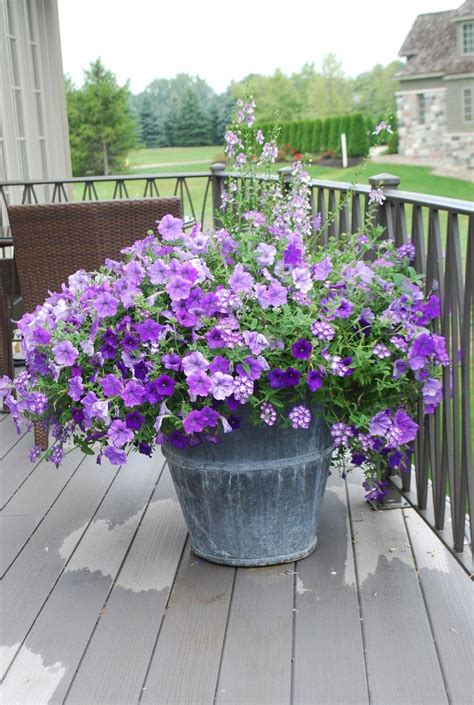 Pin By Violet Crawley On Purple Garden Container Garden Design