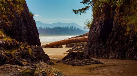 Tofino Beach Bing Wallpaper Download