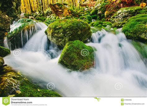 Mountain Creek Detail With Mossy Rocks And Crystal Clear Water Stock