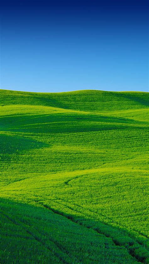 Green Field Grass Landscape Nature Graphy Scenery Sky Hd Phone