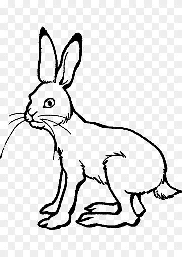 Arctic Hare Coloring Page Home Design Ideas