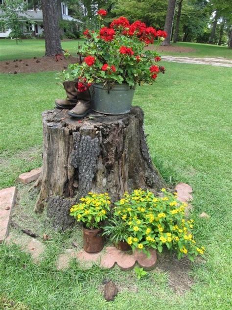 10 Awesome Diy Tree Stump Ideas That Can Enhance Your Yard