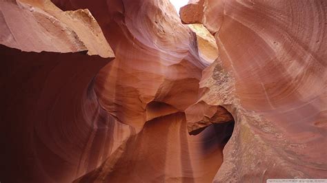 Brown And White Floral Textile Antelope Canyon Rock Formation Canyon