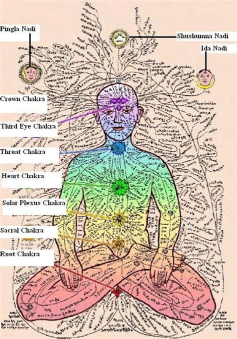 article 200 human spirit chakras part 1 energy fields and intro to chakras cosmic core