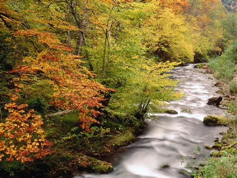 Autumn Mountain Stream Wallpapers Top Free Autumn Mountain Stream