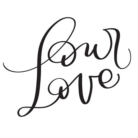 Our Love Words On White Background Hand Drawn Calligraphy Lettering