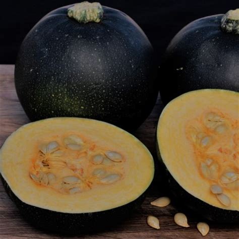 May 4, 2013 by four string farm in heritage farming 52 comments. Rolet Gem Squash - category