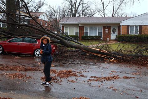 Tornado Damages Homes And Downs Trees In St Louis Nbc News