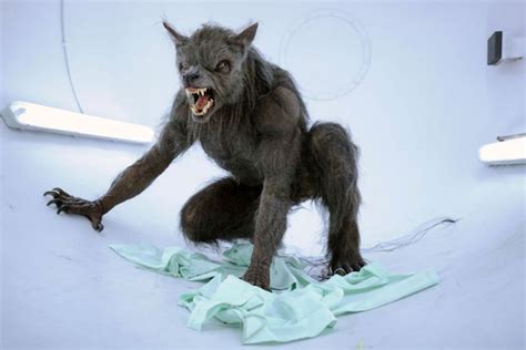Werewolf Conference Will See Academics Shine A Light On Folkloric