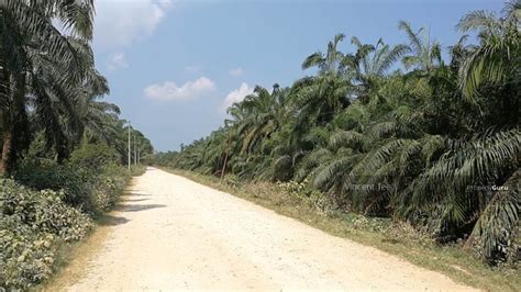 Tanjung karang'den kuala selangor'ye arabayla olan yolun uzunluğu 13 kilometre 'dır ve yaklaşık 38 dakika sürer. 5Acres Freehold Main Road Parit Serong Tanjung Karang ...