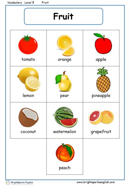 Fruit English Vocabulary Worksheet English Treasure Trove