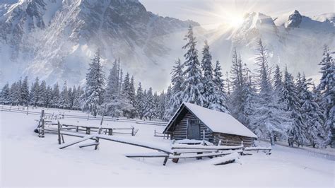 Download Wallpaper Winter Snow Mountains Tree The Snow House Hut