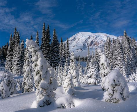 Exploring Mount Rainier In The Winter Travel And Photography Guide